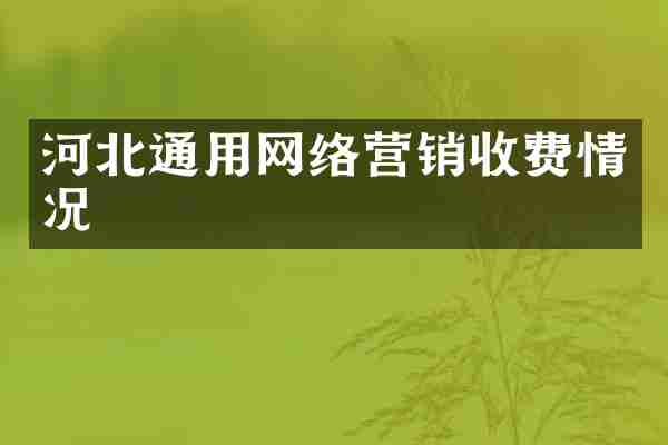 河北通用网络营销收费情况