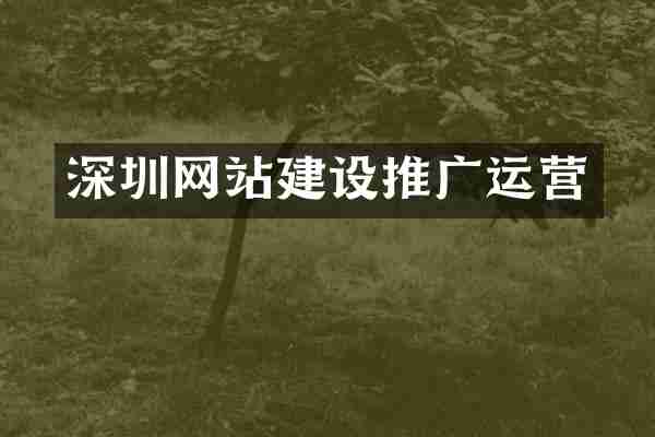 深圳网站建设推广运营