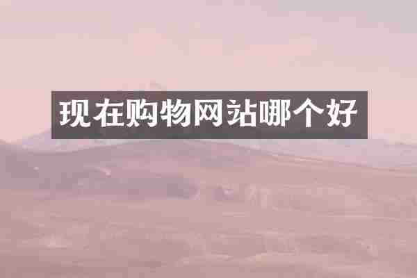 现在购物网站哪个好