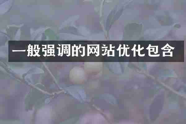 一般强调的网站优化包含