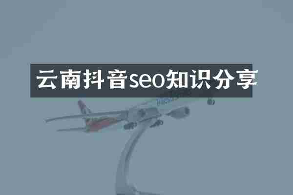 云南抖音seo知识分享