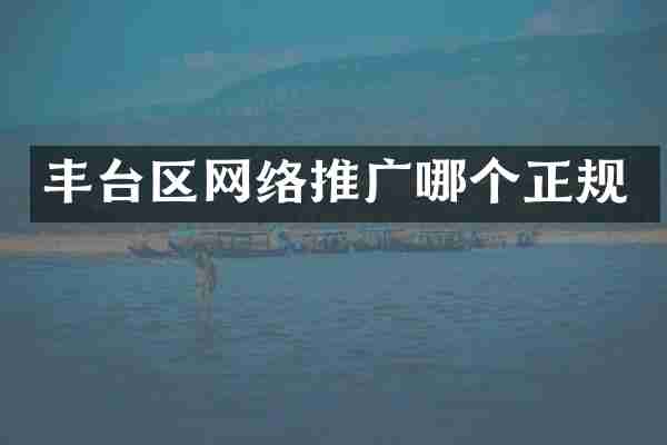 丰台区网络推广哪个正规