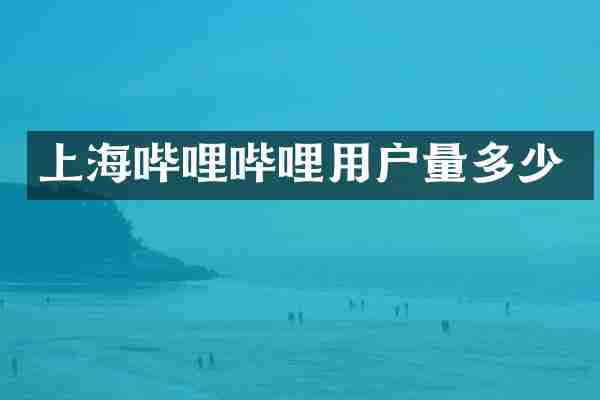上海哔哩哔哩用户量多少