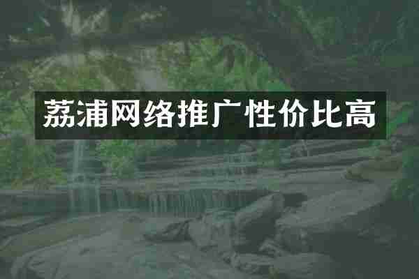 荔浦网络推广性价比高