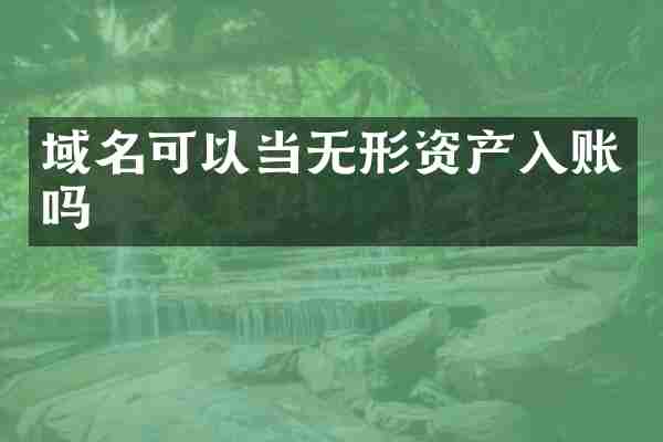 域名可以当无形资产入账吗