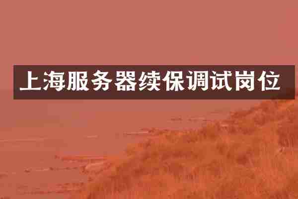 上海服务器续保调试岗位
