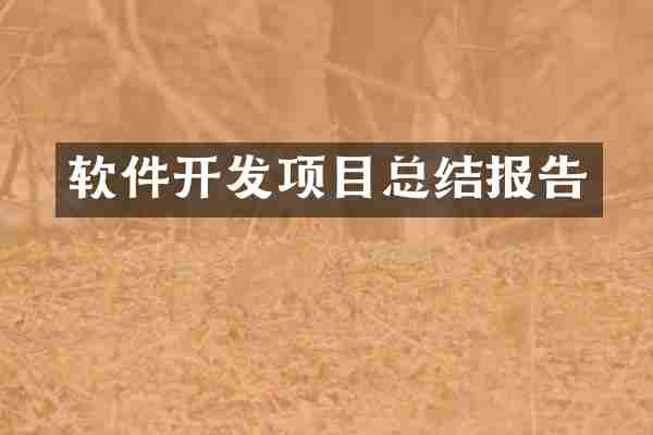 软件开发项目总结报告