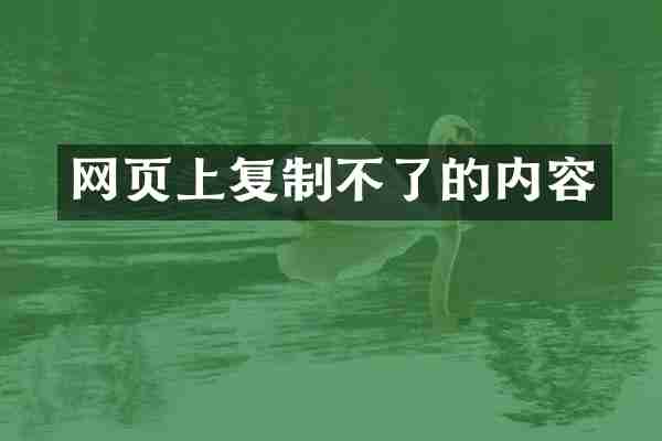 网页上复制不了的内容