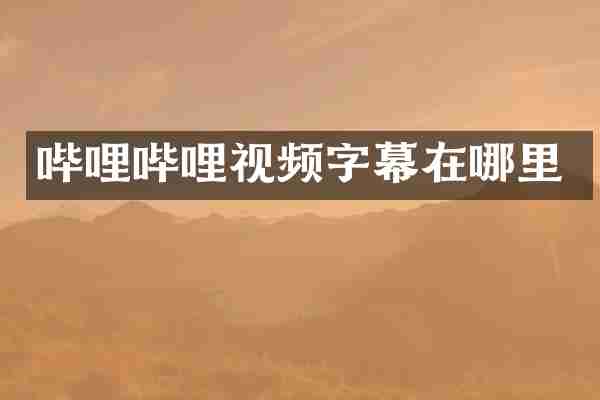 哔哩哔哩视频字幕在哪里
