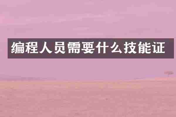 编程人员需要什么技能证
