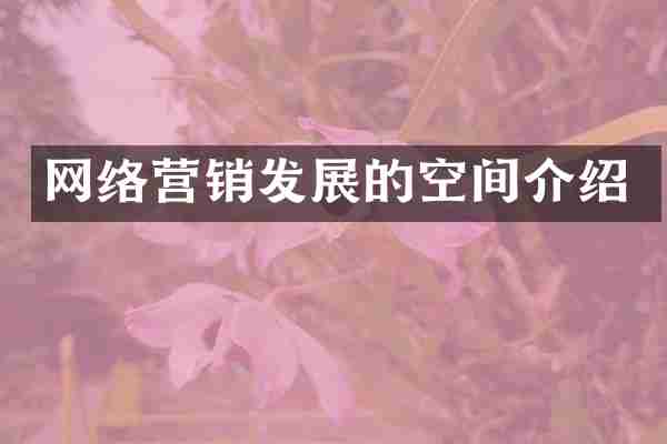 网络营销发展的空间介绍