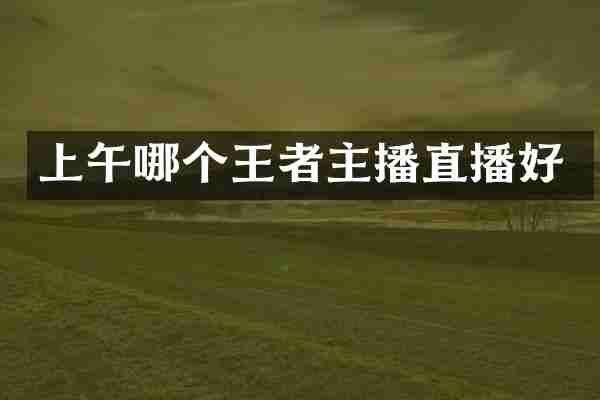 上午哪个王者主播直播好