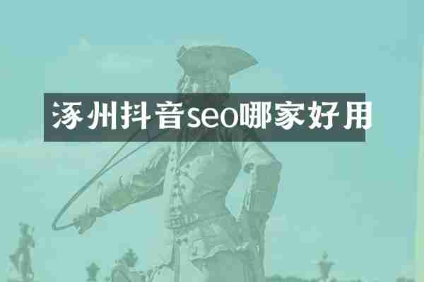 涿州抖音seo哪家好用