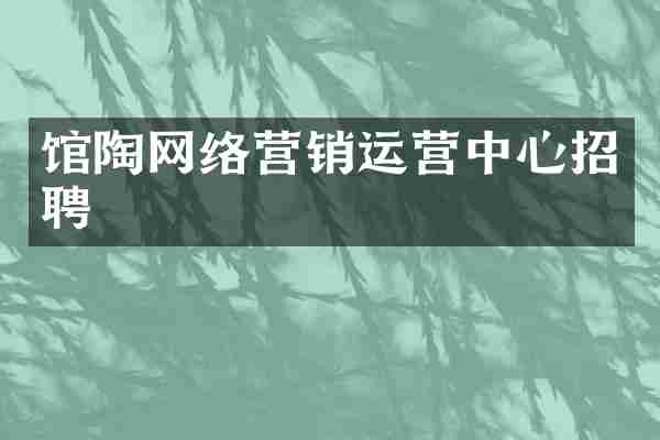 馆陶网络营销运营中心招聘