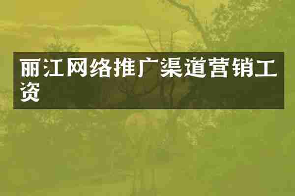 丽江网络推广渠道营销工资