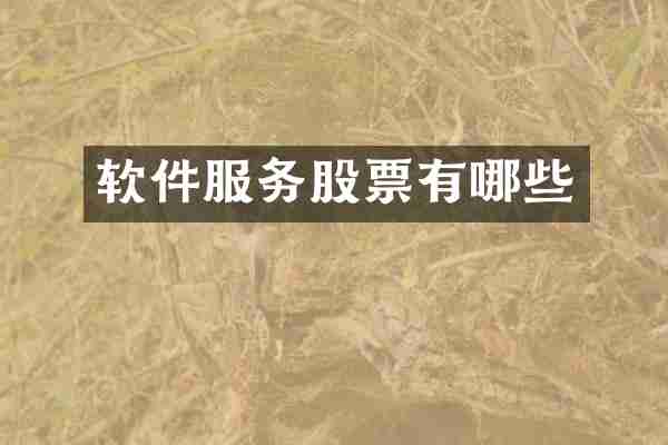 软件服务股票有哪些