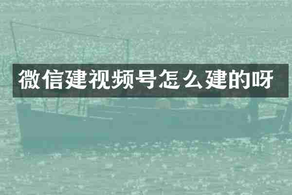 微信建视频号怎么建的呀