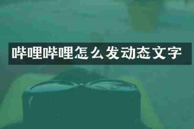 哔哩哔哩怎么发动态文字