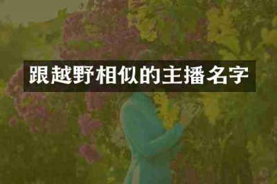 跟越野相似的主播名字