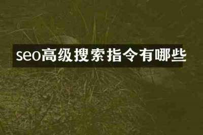 seo高级搜索指令有哪些