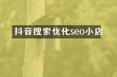 抖音搜索优化seo小店