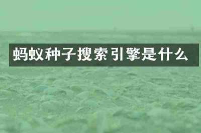 蚂蚁种子搜索引擎是什么