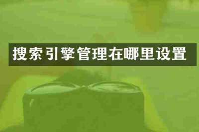 搜索引擎管理在哪里设置