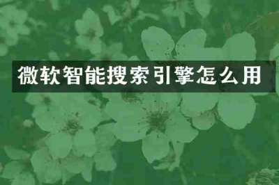 微软智能搜索引擎怎么用