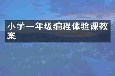 小学一年级编程体验课教案
