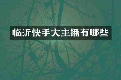 临沂快手大主播有哪些