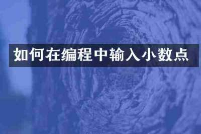 如何在编程中输入小数点