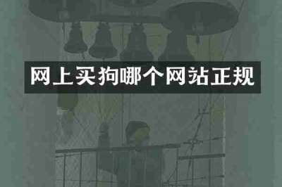网上买狗哪个网站正规