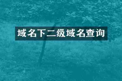 域名下二级域名查询