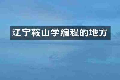 辽宁鞍山学编程的地方