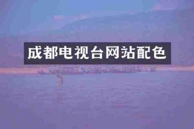 成都电视台网站配色