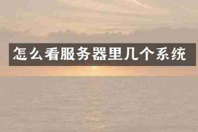 怎么看服务器里几个系统