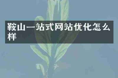 鞍山一站式网站优化怎么样