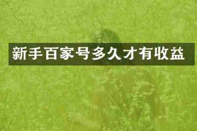 新手百家号多久才有收益