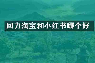回力淘宝和小红书哪个好