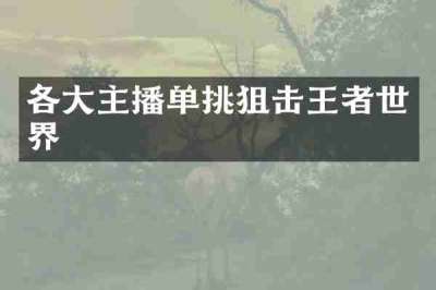 各大主播单挑狙击王者世界