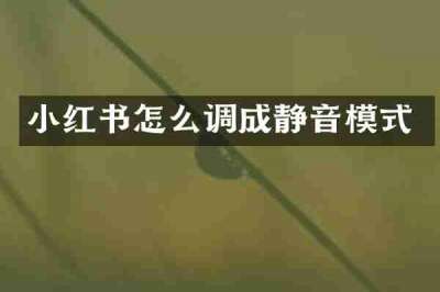 小红书怎么调成静音模式