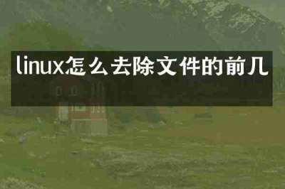 linux怎么去除文件的前几列