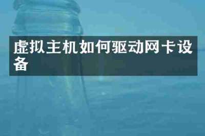 虚拟主机如何驱动网卡设备