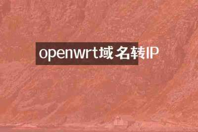 openwrt域名转IP