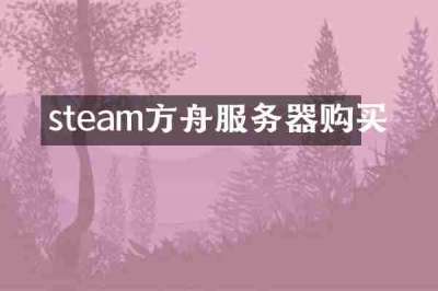 steam方舟服务器购买