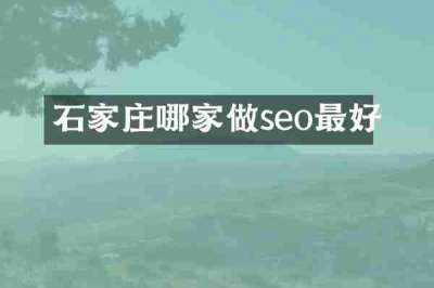 石家庄哪家做seo最好