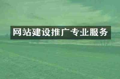 网站建设推广专业服务