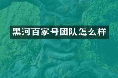 黑河百家号团队怎么样