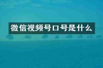 微信视频号口号是什么