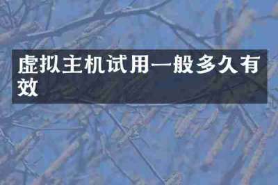 虚拟主机试用一般多久有效